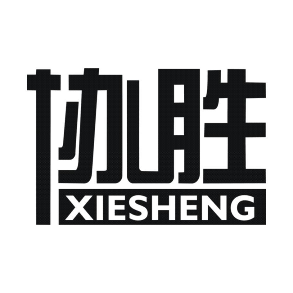 胜肖速首，五战攻略揭秘与SEO优化策略，胜肖速首攻略揭秘，五大战术与SEO优化策略全解析