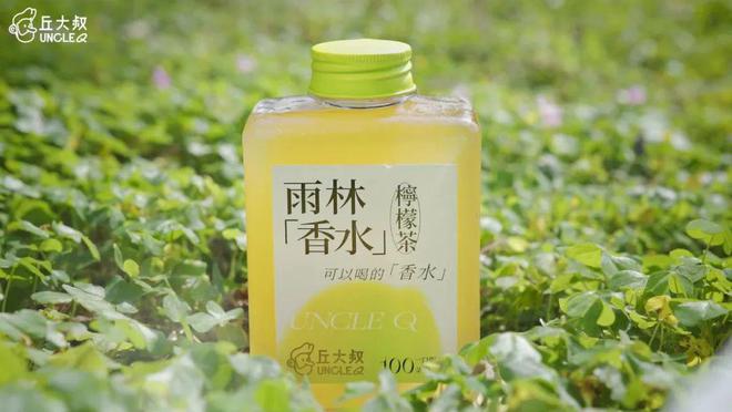 降目练2L资料，SEO优化全攻略，降目练2L资料，SEO优化终极攻略