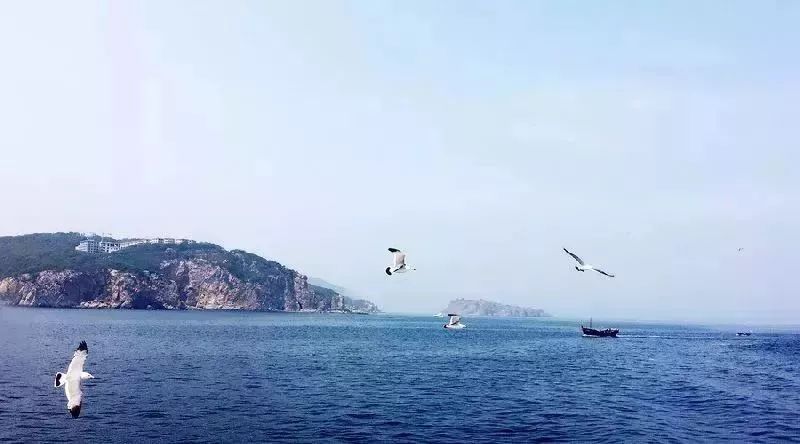 宣个海装飞么事肖九有河，深度探索与SEO优化策略，深度探索与SEO优化策略，宣海肖九河畔的实战经验分享