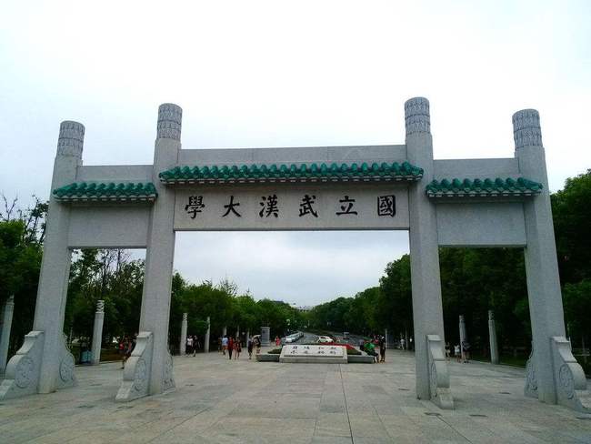 国正武大特有新势新十能情结，探索与解析，国正武大新势新十能情结，探索与解析