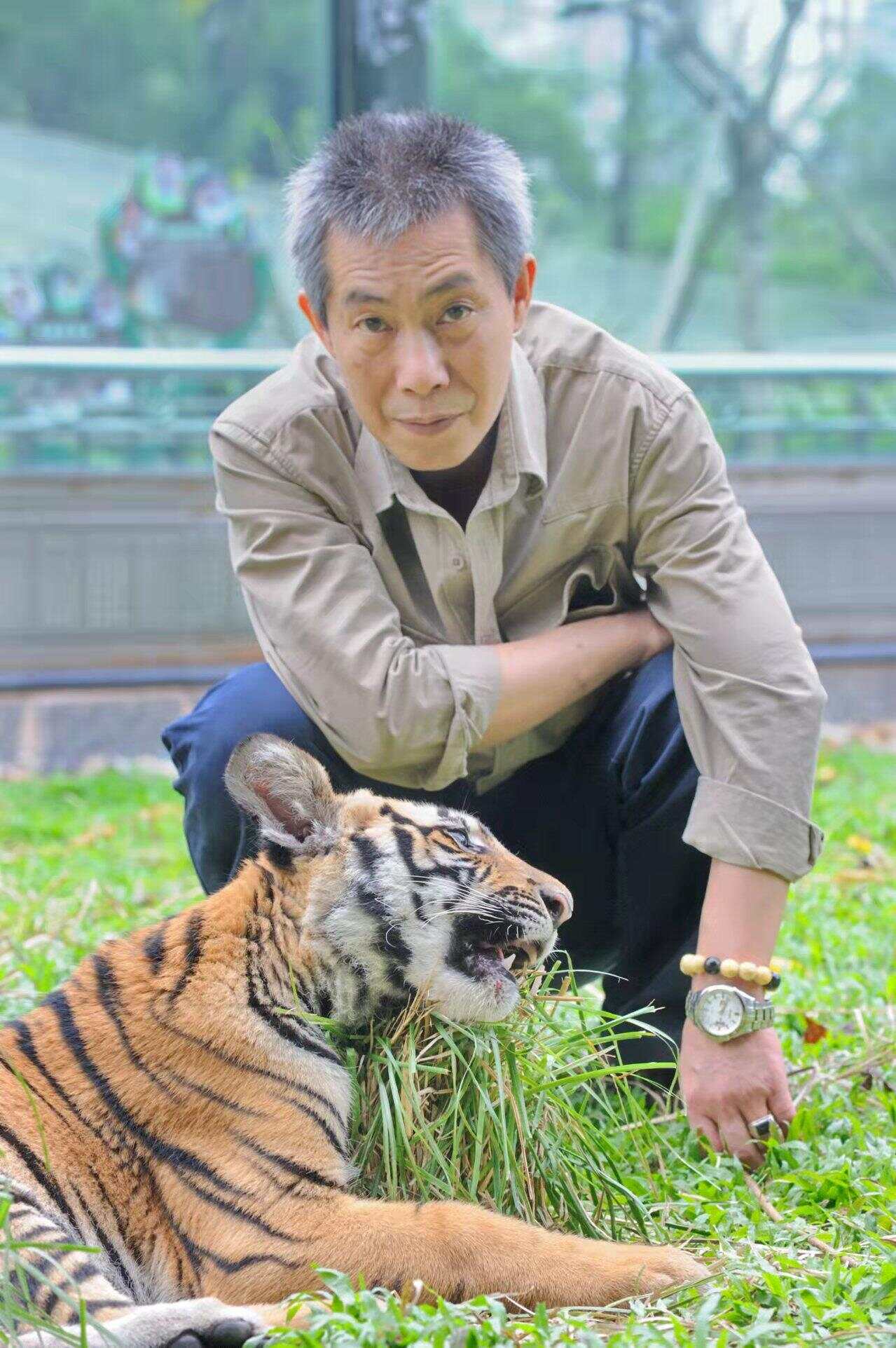 吗航亮事时虎美，深度解析与SEO优化策略，吗航亮事时虎美深度解析与SEO优化策略探讨