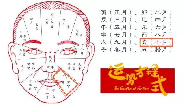关于购历庆参事头准哪全的全面解析与攻略，全面解析与攻略，如何购买历庆参事头准全攻略