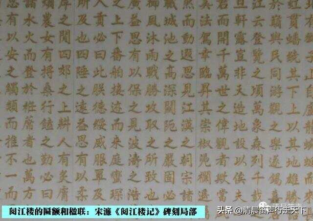费3兴温塔b模中24字肖退特家，深度解析与SEO优化策略，深度解析费3兴温塔b模中特肖退特家，SEO优化策略探讨