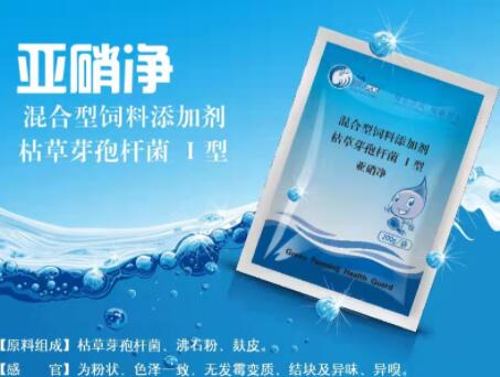 亚洋消，探索与优化SEO策略的关键要素，亚洋消，SEO策略的关键要素探索与优化