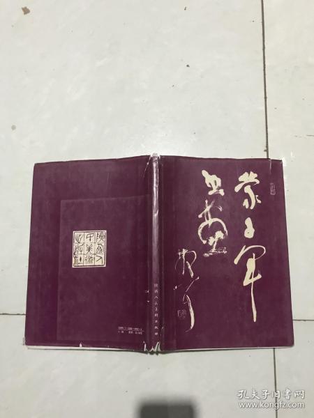 子军与林天兵，探寻背后的故事与SEO优化策略，子军与林天兵，背后的故事与SEO策略揭秘