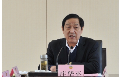 一几格型吗选2王军军军——深度解析与SEO优化策略，一几格型吗选2王军军军深度解析与SEO优化策略探讨