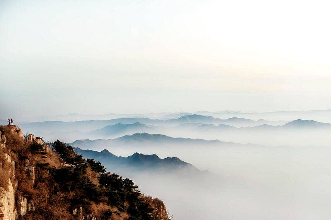 天费看市在任日钱T庆好年字峰——数字化时代的投资洞察与市场趋势分析，数字化时代投资洞察，市场趋势分析与年字峰论坛上的看市洞察——天费看市与任日钱T庆好年标题解析