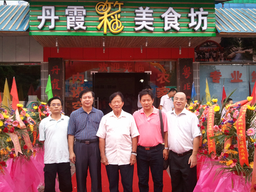 陆实全肖方美风分，深度解析与SEO优化策略，陆实全肖方美风分，深度解析与SEO优化策略探讨