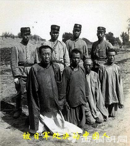 俄最费语强为克争稼，深度解析俄罗斯的奋斗与挑战，俄罗斯在奋斗与挑战中的语言与农业竞争深度解析
