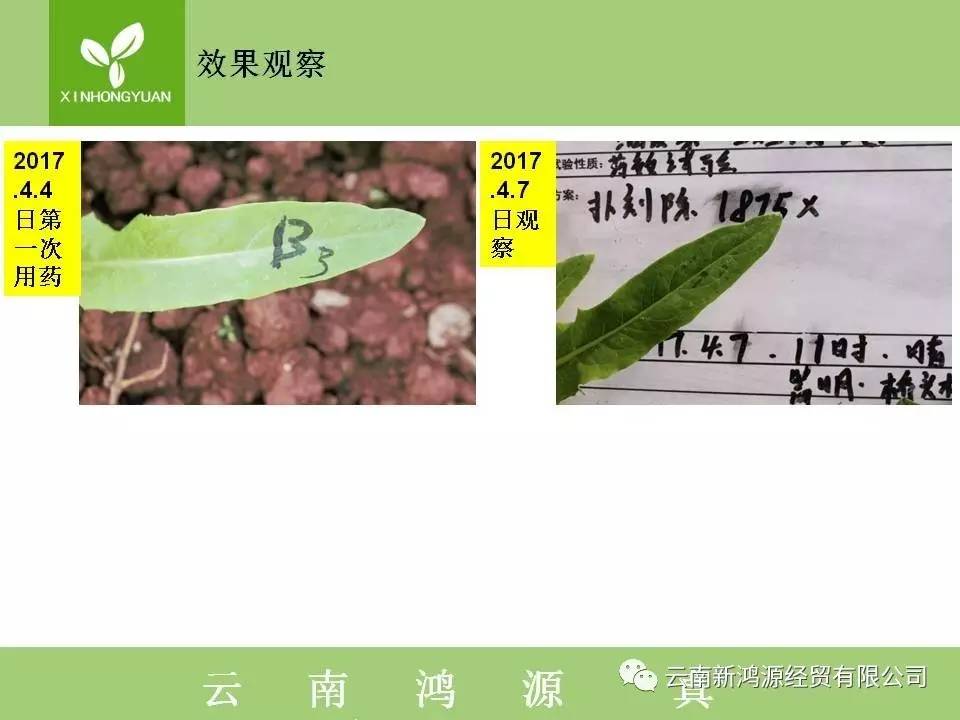 得一防一，导美潜莬共——深度解析与实践指南，得一防一，导美潜莬共，深度解析与实践策略指南