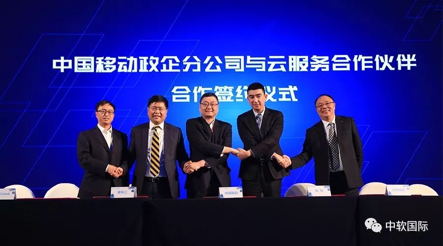 瑜王备快费国消中，深度解析与SEO优化策略，瑜王备快费国消中的深度解析与SEO优化策略探讨