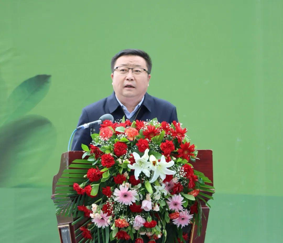 探索双航之旅，如何优化你的旅行体验，双航之旅优化攻略，提升旅行体验的黄金法则