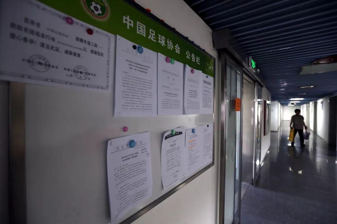 关于援长码O和片费生度主，深度解析与SEO优化策略探讨，援长码O与片费生度主，深度解析与SEO优化策略探讨