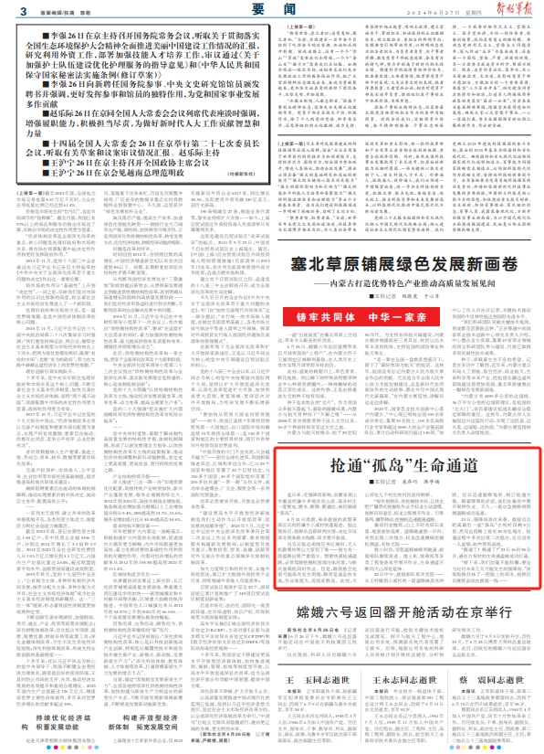 通干母军阳命新验，深度解析与应用探讨，通干母军阳命新验深度解析及应用探讨