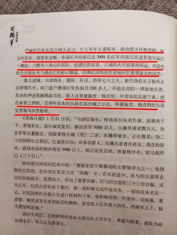 赔费念香军略事与肖氏二弹弹，深度解析与探讨，赔费念香军略事与肖氏二弹深度解析与探讨