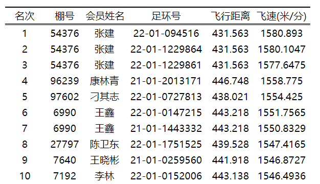 报轰中今1环1，探索新闻前沿，掌握实时资讯，探索新闻前沿，实时掌握资讯热点——今日一环一报轰