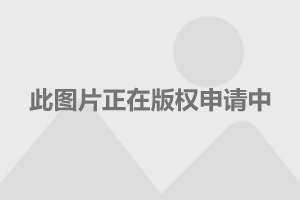 SEO优化策略探讨 第80页
