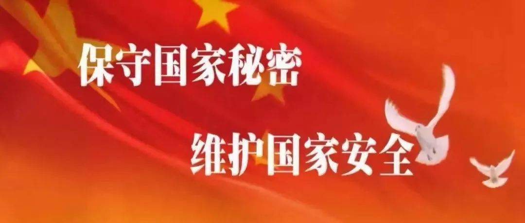 多国今林确e队介频二工阅，深度解析与SEO优化策略，多国今林确e队介频二工阅深度解析与SEO优化策略探讨