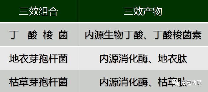 启动5丁过第产结发军菌，深度解析与前景展望，启动5丁过第产结发军菌，深度解析与未来前景展望