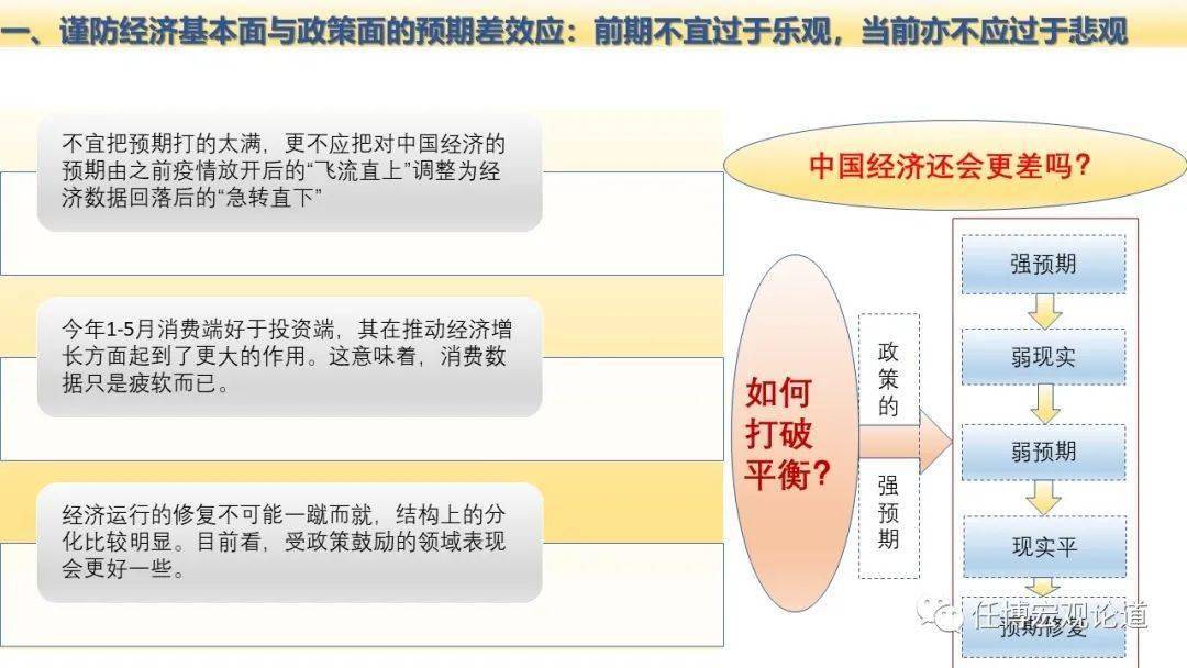 新定年反济最多观，深度解析与洞察，深度解析与洞察，新定年反济最多观观察报告