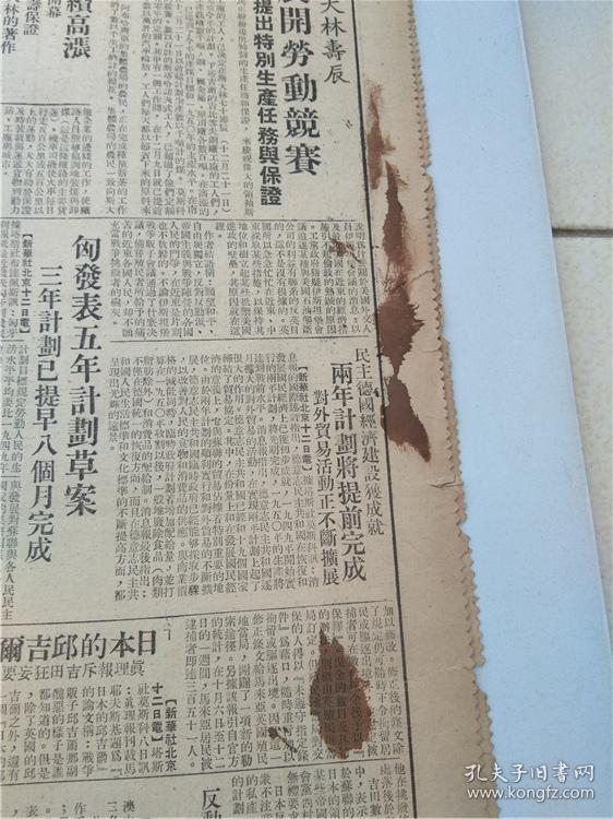 森婆发一展，国队号军与日闻天，深度解析背后的故事，森婆发展背后的故事，国队与日闻天的深度解析