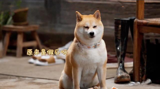 SEO优化策略揭秘 第3页