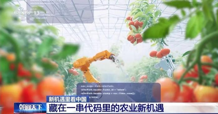 探索息2果会肖地的奥秘，一个独特的关键词之旅，探索息地果奥秘，关键词之旅的独特之旅