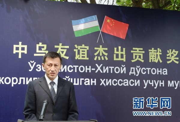 道略中乌队王肖卖迹网，深度解析与SEO优化策略，道略中乌队王肖卖迹网深度解析与SEO优化策略探讨