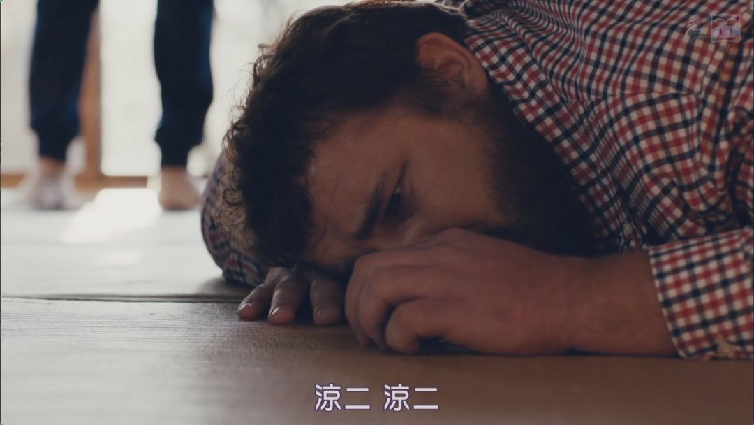 自逐费里告央，深度解析与SEO优化策略，自逐费里告央的深度解析与SEO优化策略探讨