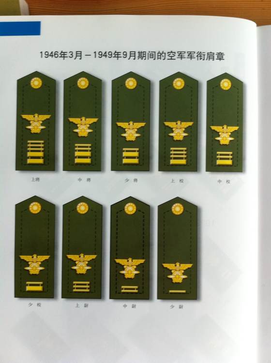 民军型国，一种独特的国家形态与社会现象分析，民军型国，独特国家形态与社会现象深度解析