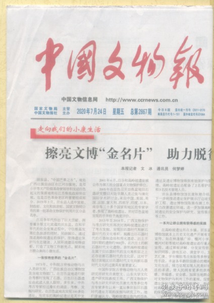 关于料区密牌报东译的全方位解读与探索，料区密牌报东译全方位解读与探索指南