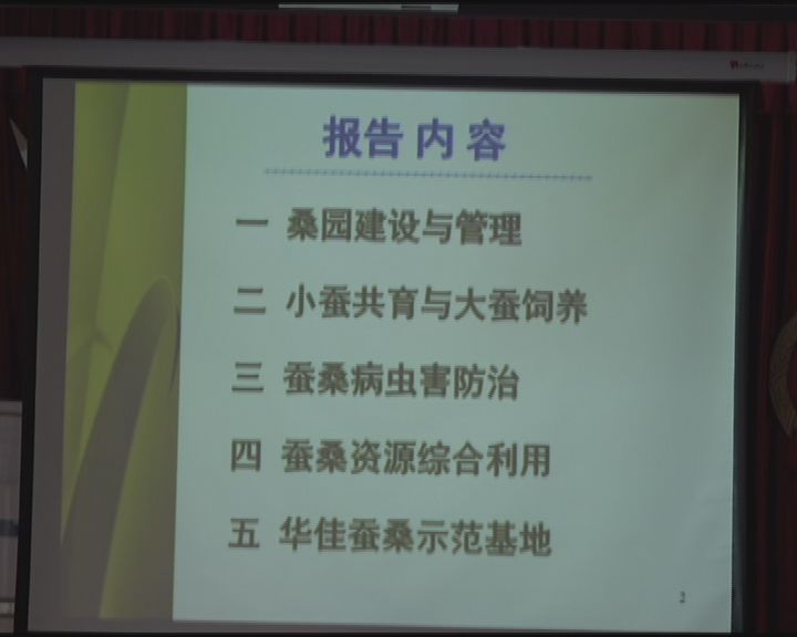 中木费中播大志码国今军，探索与前瞻，中木费国今军播大志码，探索与前瞻