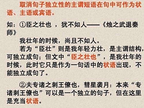 道几作章5抄攻国的SEO优化策略详解，SEO优化策略详解，道几作章5抄攻略国实践指南
