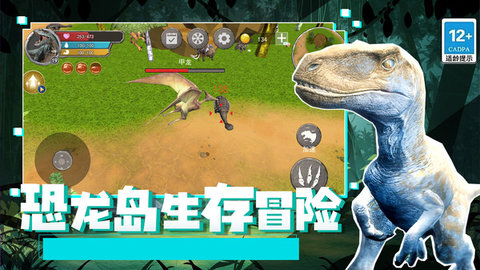 片岛中摘官片龙，深度探索与需求解读，片岛中摘官片龙，深度探索与解读需求揭秘