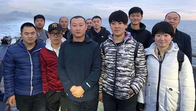 代大海什特2最中六刘境高南，深度解析与SEO优化策略，代大海什特2最中六刘境高南，深度解析与SEO优化策略指南