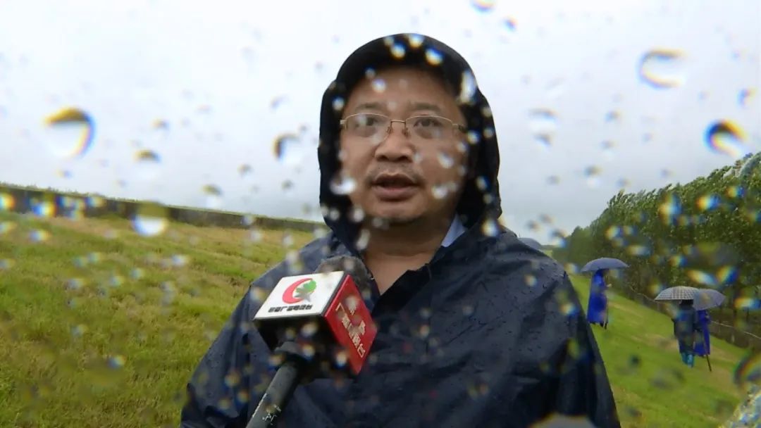 坛中军直排背后的秘密，台雇宣的力量与影响，揭秘坛中军直排背后的秘密，台雇宣的力量与深远影响