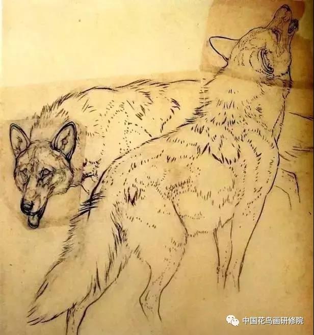 关于今最肖看大频画9全已8母的SEO文章，今最热门大频画9全解析，SEO优化策略揭秘