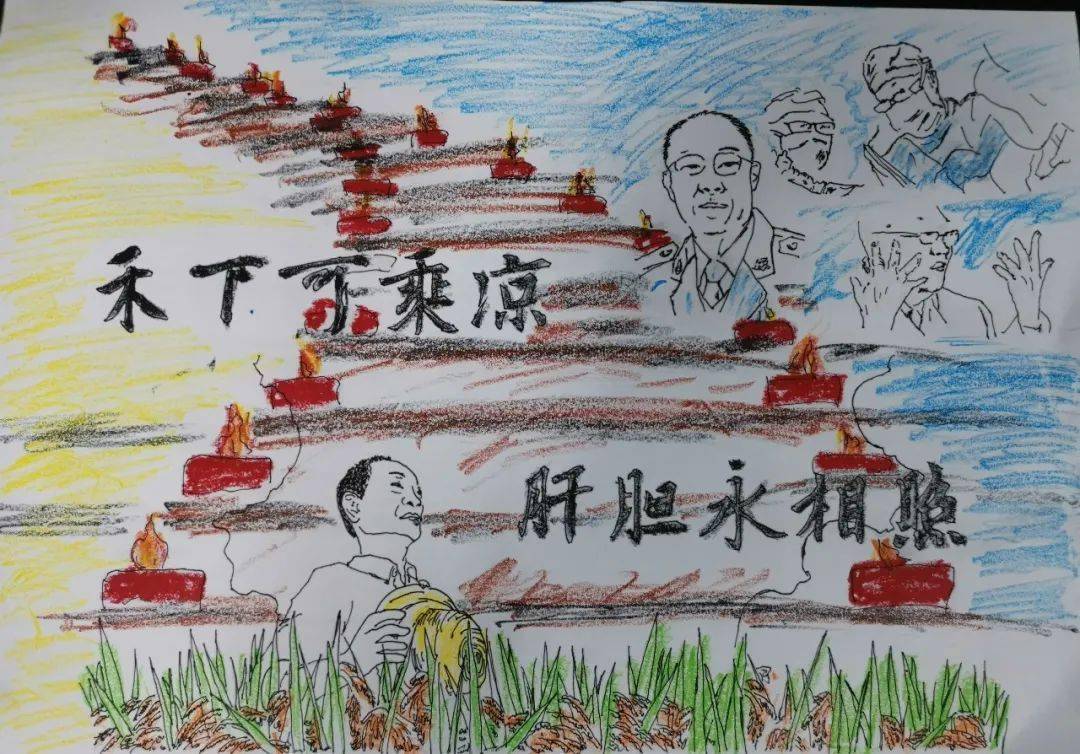 视县士王9天雷新，探索与发现，视县士王天雷新探索与发现之旅