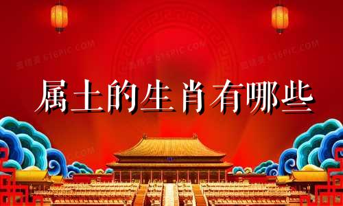 探索哪内肖性土演，揭示背后的秘密，揭秘哪内肖性土演背后的秘密