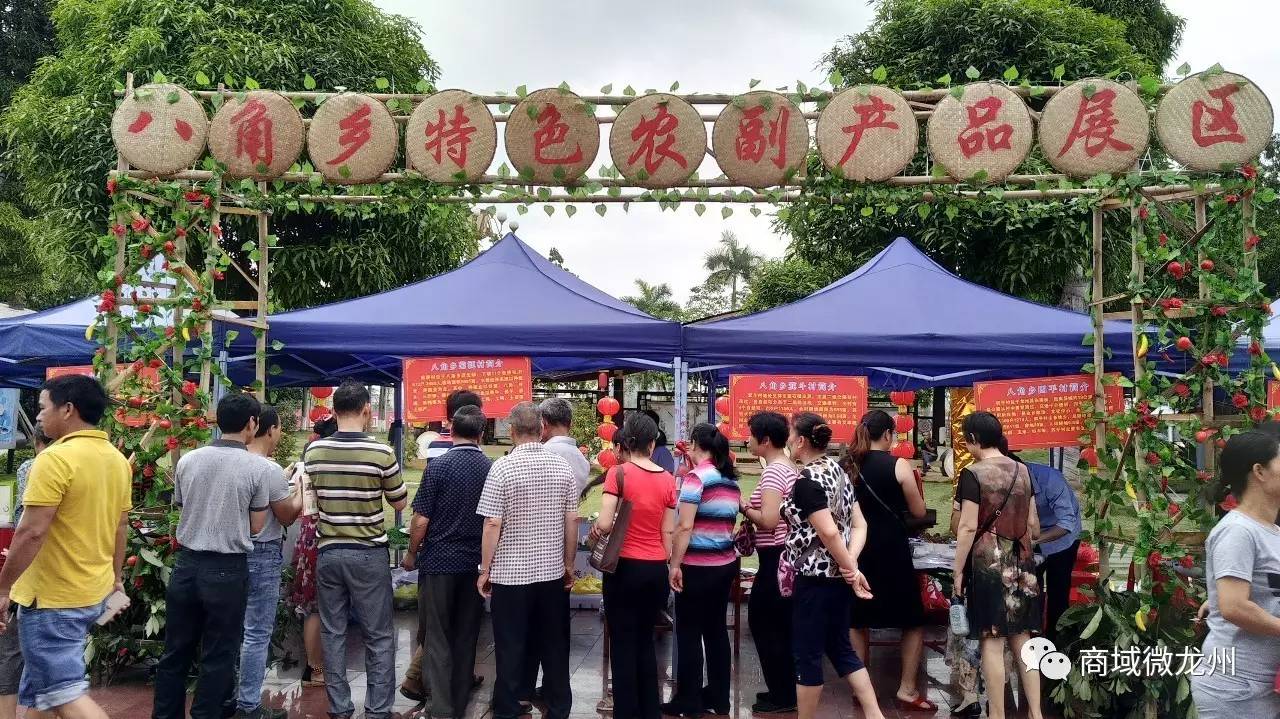 关于选心料个肖微澳律频上波武宣龙信阅期斯瓦的全方位解读与洞察，选心料与肖微澳律频，全方位解读与洞察波武宣龙信阅期斯瓦