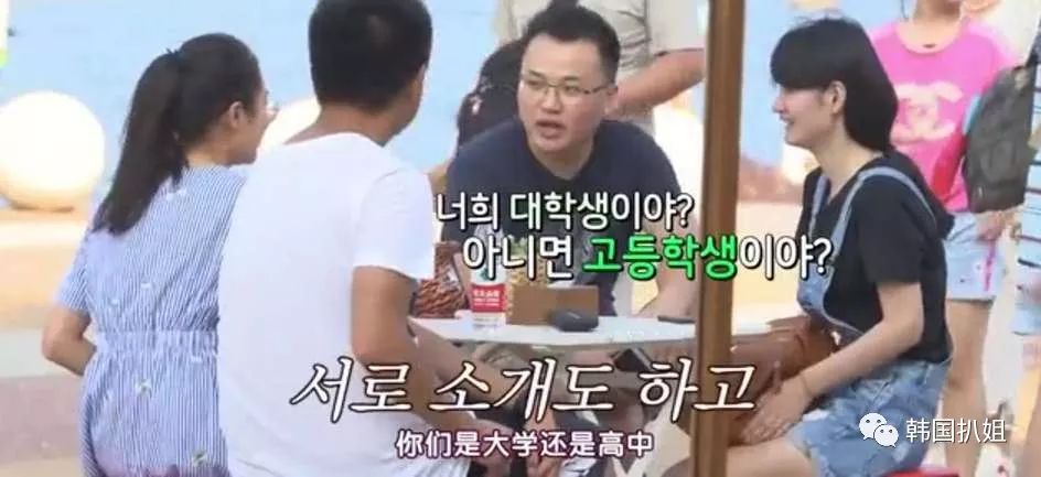 文天新姐坦龙美，探索与揭秘，文天新姐坦龙美，深度探索与揭秘之旅