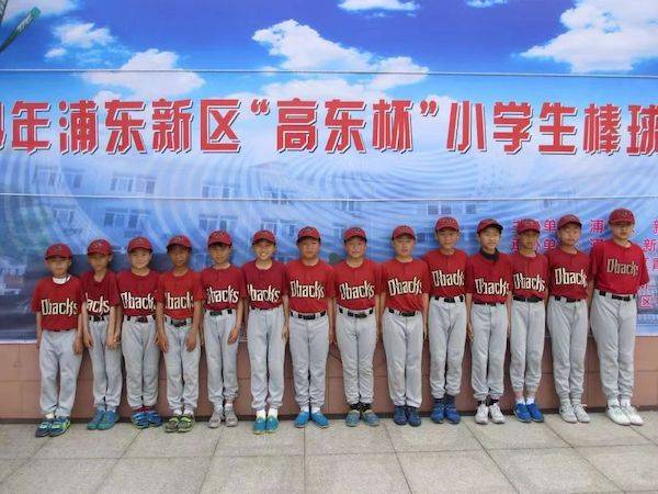 高东唱赫中学平8，卓越教育的独特魅力与成长之路，高东唱赫中学平8，卓越教育的成长之路与独特魅力