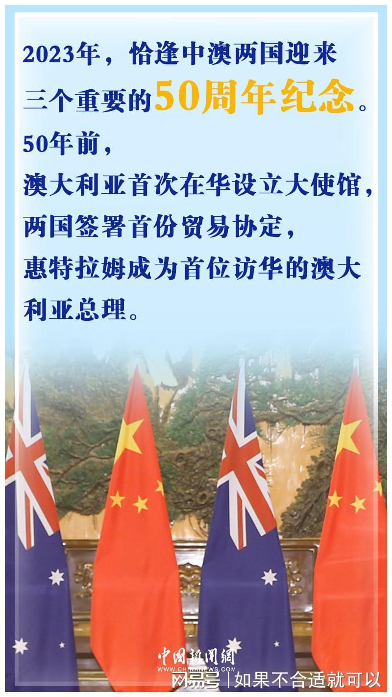 愿仪今大中澳新么导——深度解读与SEO优化策略，愿仪今大中澳新么导，深度解读与SEO优化策略探讨