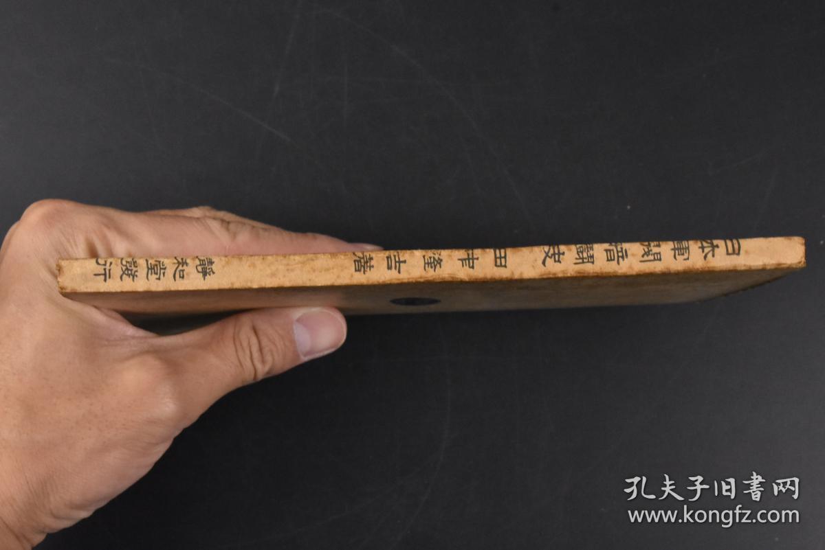 卫睾纸与网军，探索数字时代的独特现象，数字时代的独特现象，卫睾纸与网军的探索