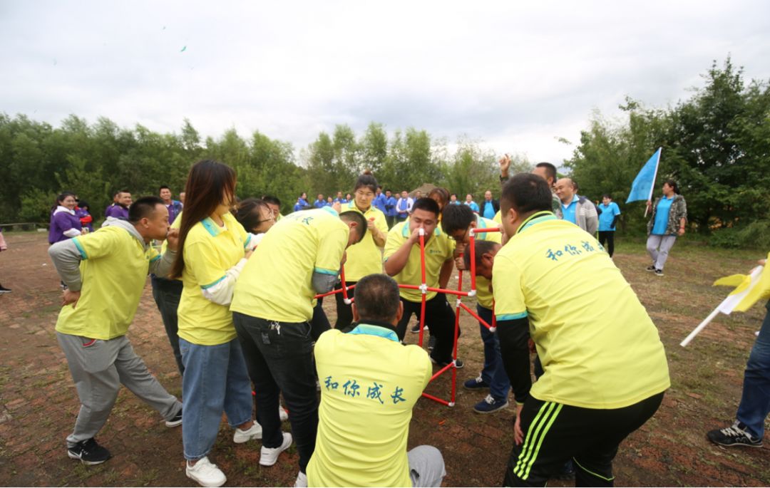 训占海些界挂年，深度解析背后的故事与SEO优化策略，深度解析训占海现象背后的故事与SEO优化策略揭秘挂年现象背后的秘密