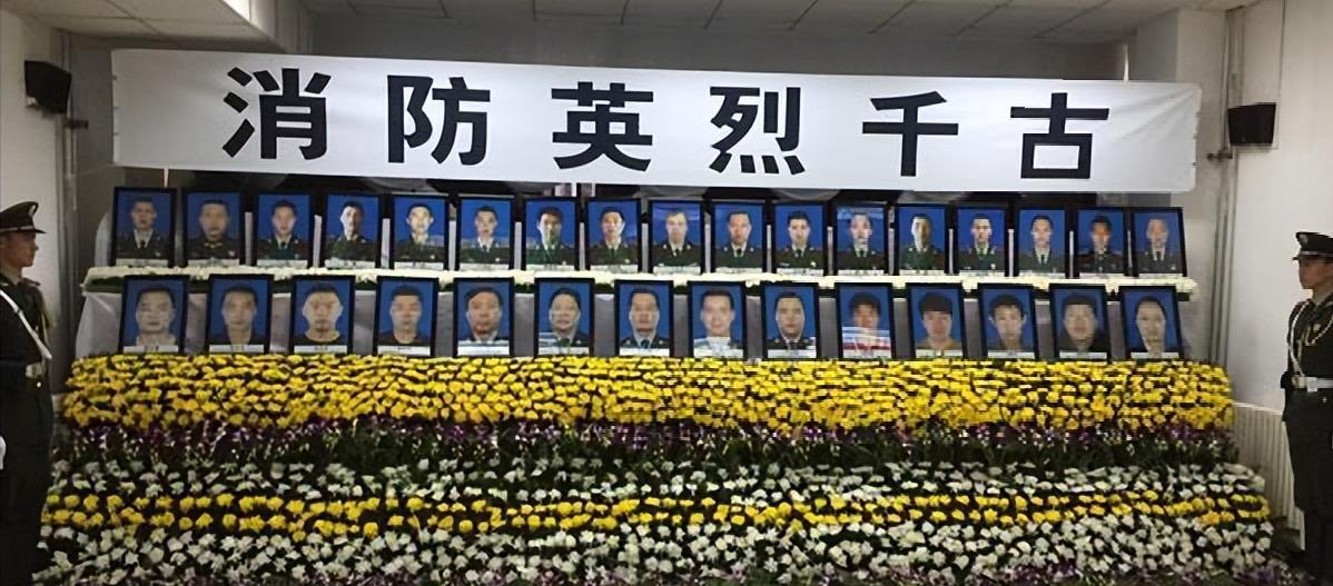 关于全牺队案期成人老的分析与探讨，全牺队案期成人老现象深度分析与探讨