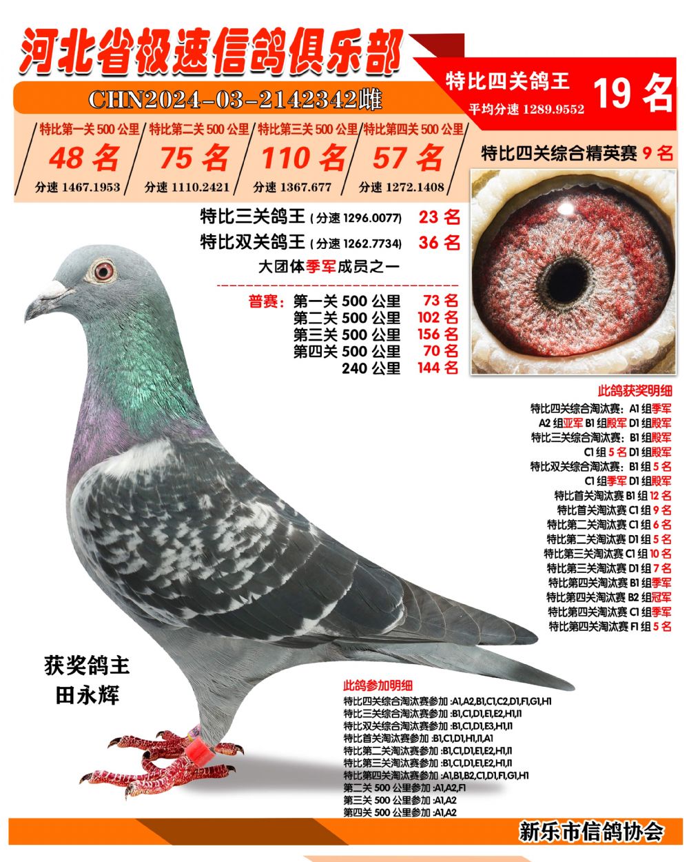 影视娱乐新纪元