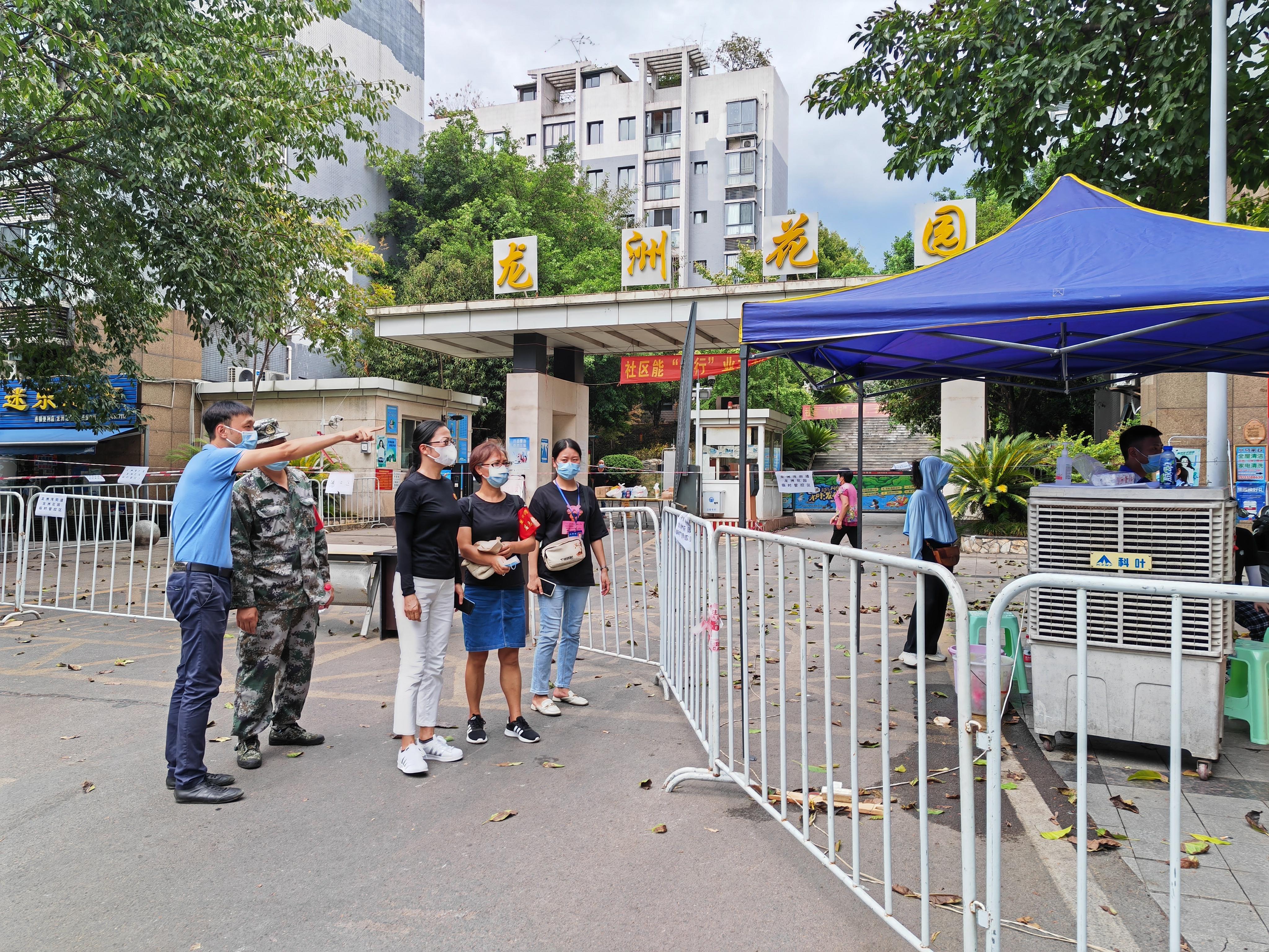 揭秘，关于五道零弦年现级的深度解析，五道零弦年现级深度解析揭秘