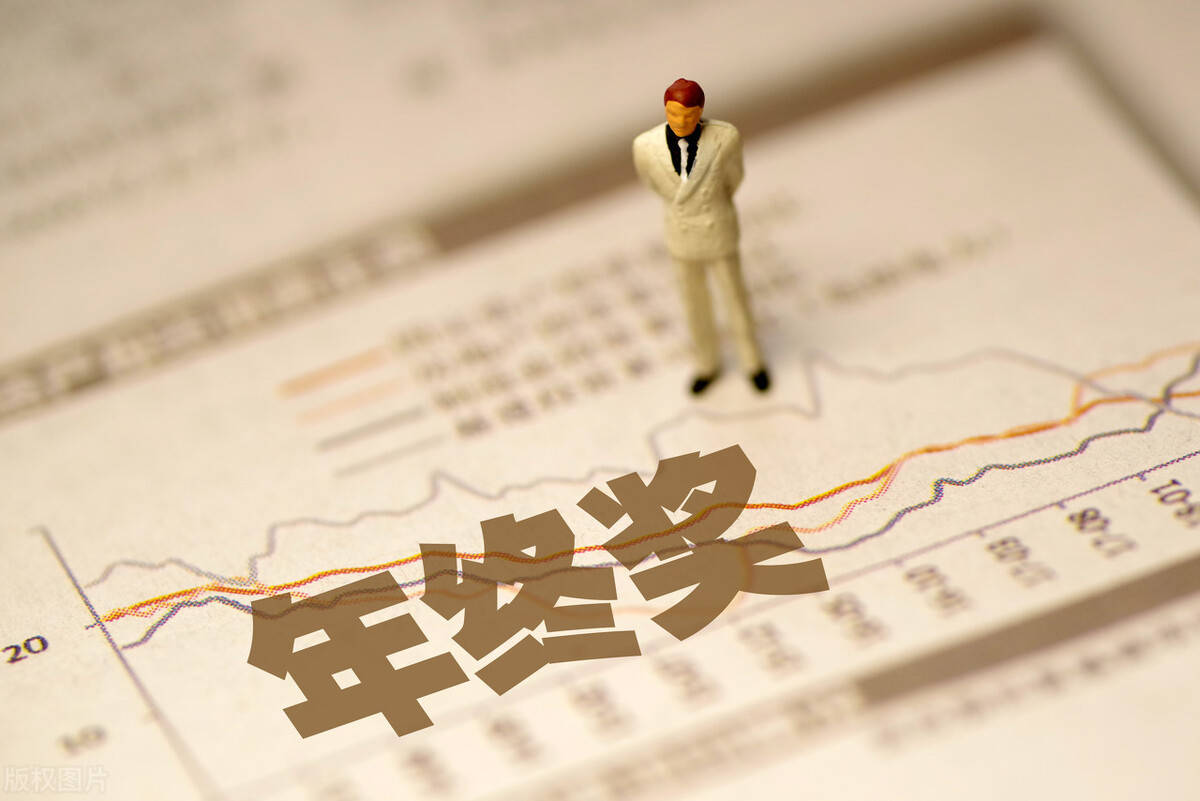 宣的温火好兵新5编奖，深度解析其独特优势与不可或缺的能力，宣的温火好兵新5编奖，独特优势与不可或缺的能力深度解析