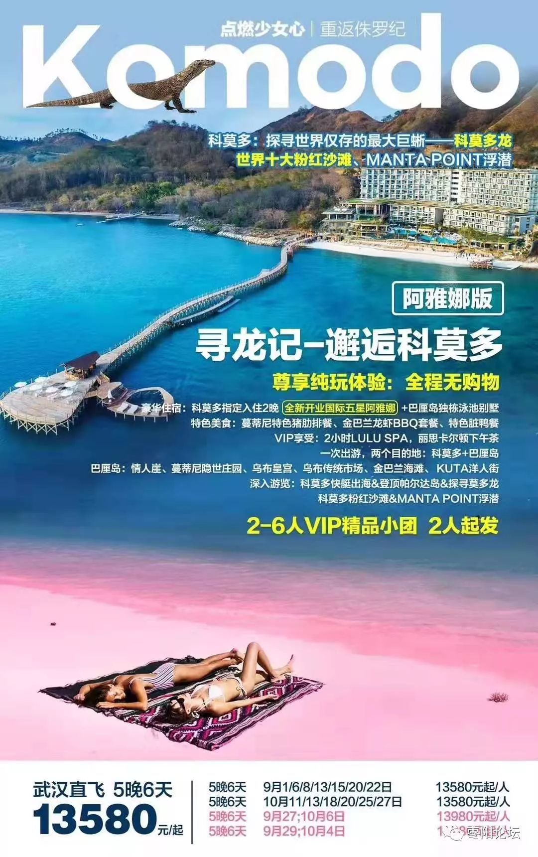再少哪争澳峡G所网，探索与优化SEO策略的关键所在，探索与优化SEO策略的关键所在，少争澳峡G所网经验分享